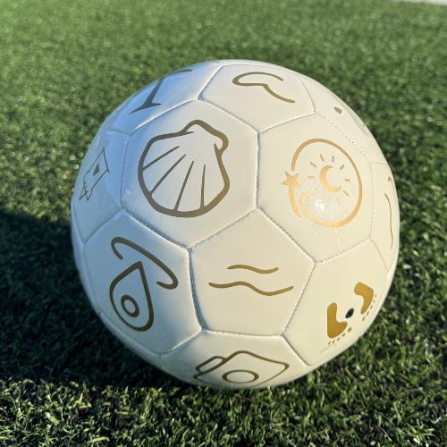 The real Ethan the Magic Soccer Ball